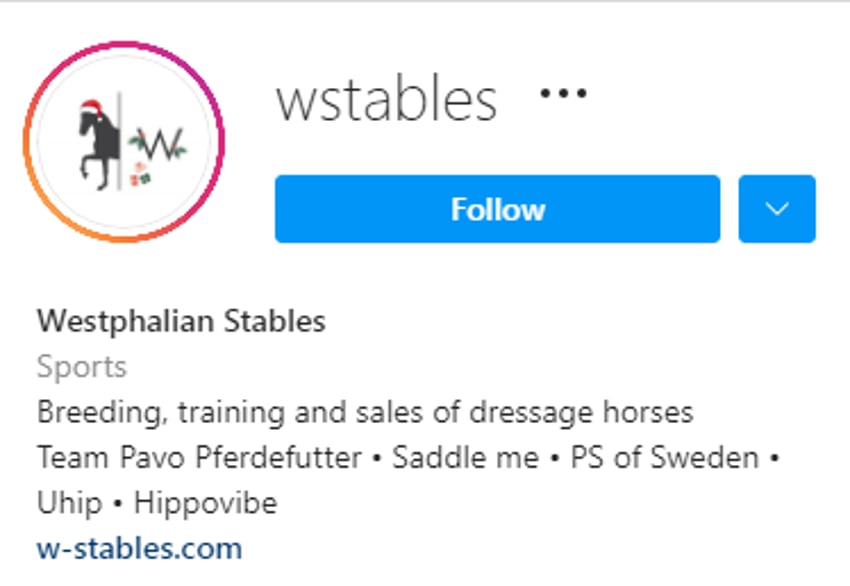 Equestrian Instagram Bio Ideas